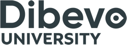 Dibevo University